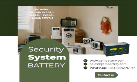 Batterien für Heimsicherheitssysteme der GS-Serie: Schützen Sie Ihr Zuhause und Ihre Sicherheit